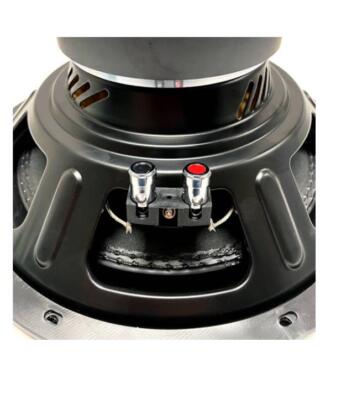 Phoenix Gold Z12D4 1600W 12