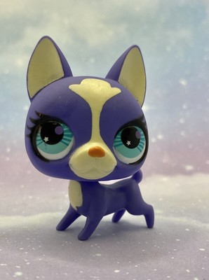 Littlest Pet Shop Authentic # 2790 Purple White Boston ...