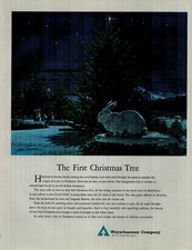 1963 Weyerhaeuser Company The First Christmas Tree Rabbit Vintage Print Ad 3627
