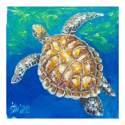 Sea Turtle Swimming Original Oil Painting Textured Ocean Animal Art 6x6 Wall Art