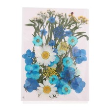 1 Packung Nat&uuml;rliche Gepresste Getrocknete Blumenbl&auml;tter, DIY-Kunsthandwerk,