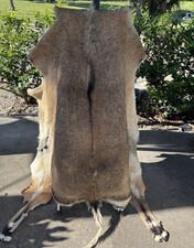 Tanned Nilgai Deer Skin Hide Leather