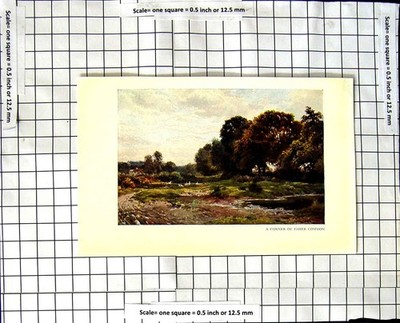 Original alter Vintage Druck Ansicht Ecke Esher Common um 1850-um 1930 Farbe 19.