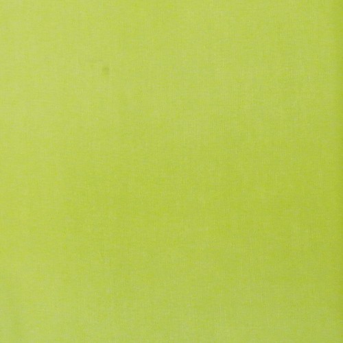 Wrapables Solid Color 100% Silk Long Scarf, Apple Green - Picture 5 of 5