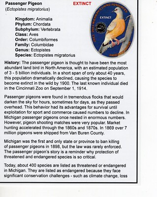 2013 LIVING RESOURCE PASSENGER PIGEON (PAPERWORK ONLY) - MICHIGAN DNR DEER PATCH
