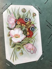 Antique Postcard Album Full Of Flowers