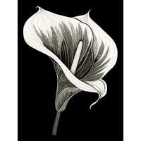Batik-Stil Schwarz Und Weiß Calla Lilie Blume GroßEr Leinwanddruck 46X61 Cm