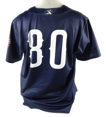 完成//order◯DDOさま専用◯ TS over IP入力 OFDM変調器ユニット[DBS7590/DBS7592] - 放送