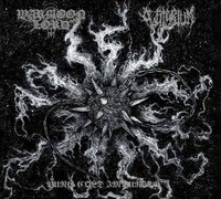 Warmoon Lord / Vulty - Pure Cold Impurity Black Or Silver - Lucky Dip - G72Z