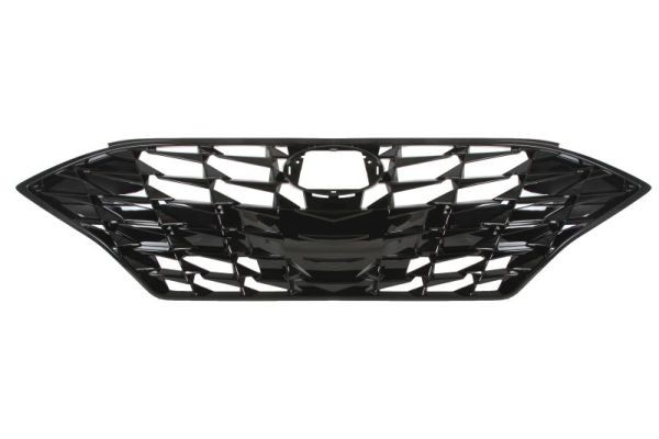 BLIC 6502-07-3170990P Radiator Grille