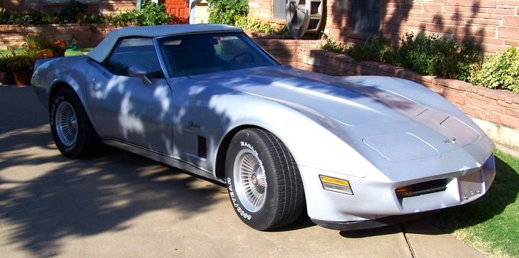 1974 Silver Chevrolet Corvette   | C3 Corvette Photo 3