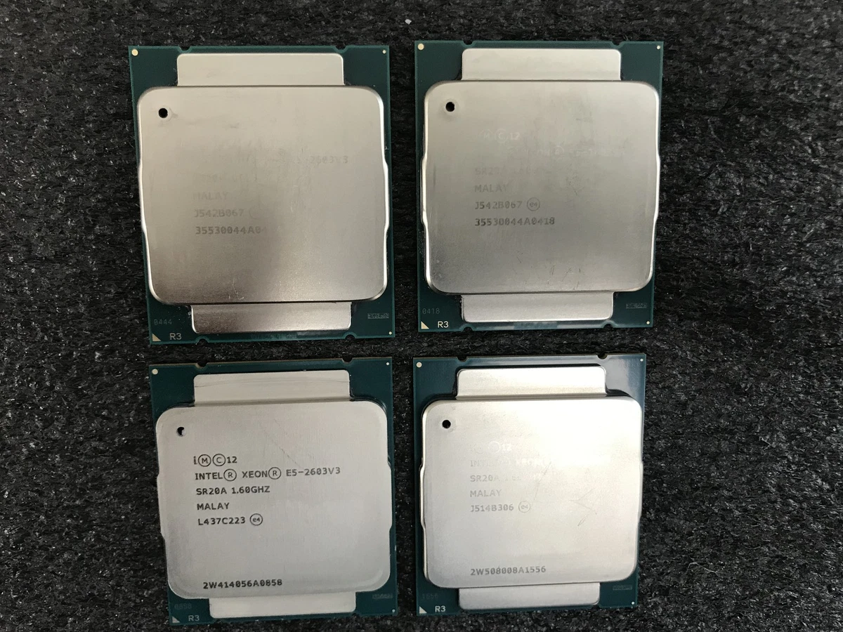 【中古】「未使用品」インテルXeon e5???2603?V3?hexa-core (6コア) 1.60?GHzプロセッサー???ソケットr3?(lga2011???3?)パックcm8064401844200 Intel Computer Intel Xeon E5-2603 V3 Processor Model Processors