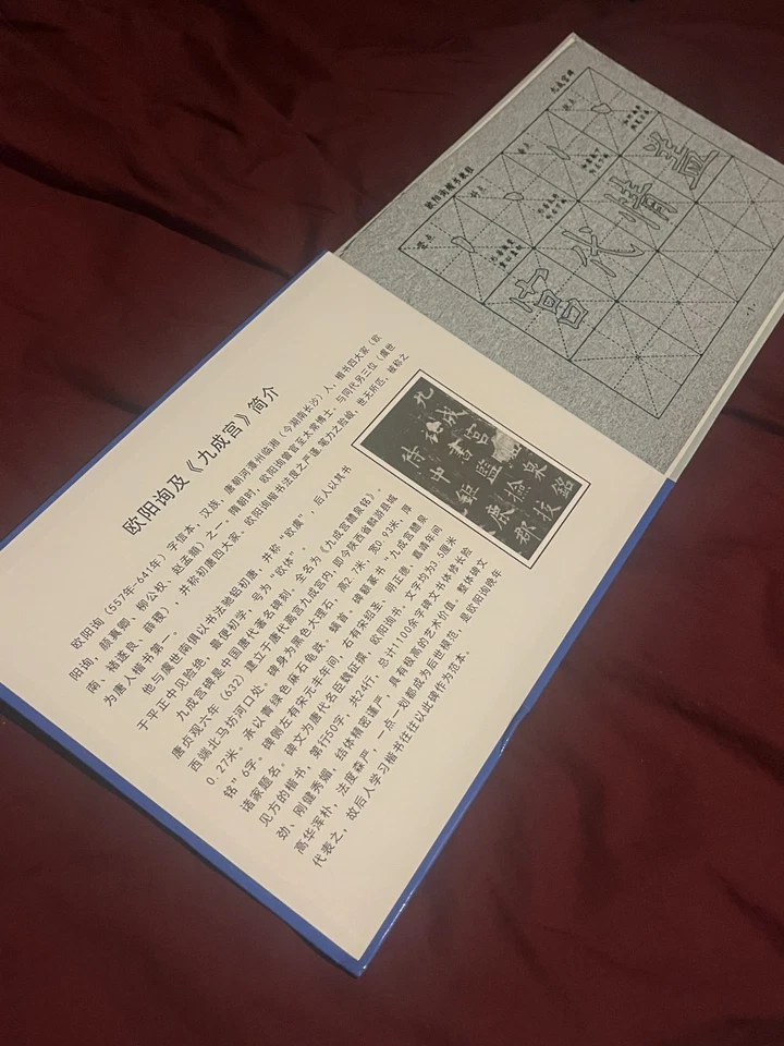 Chinese Calligraphy Copybook, Sweet Spring Inscription by Ouyang Xun - Image 3 of 4