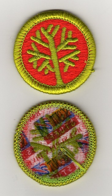 Genealogy Merit Badge Type J Scout Stuff Back 2002 10 Mint EBay