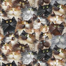 Feline Drive Fabric 108" Wide Backing CAT PACK Cats - Sold by the HALF YARD