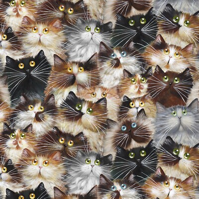 Feline Drive Fabric 108'' Wide Backing CAT PACK Cats - Sold by the HALF YARD