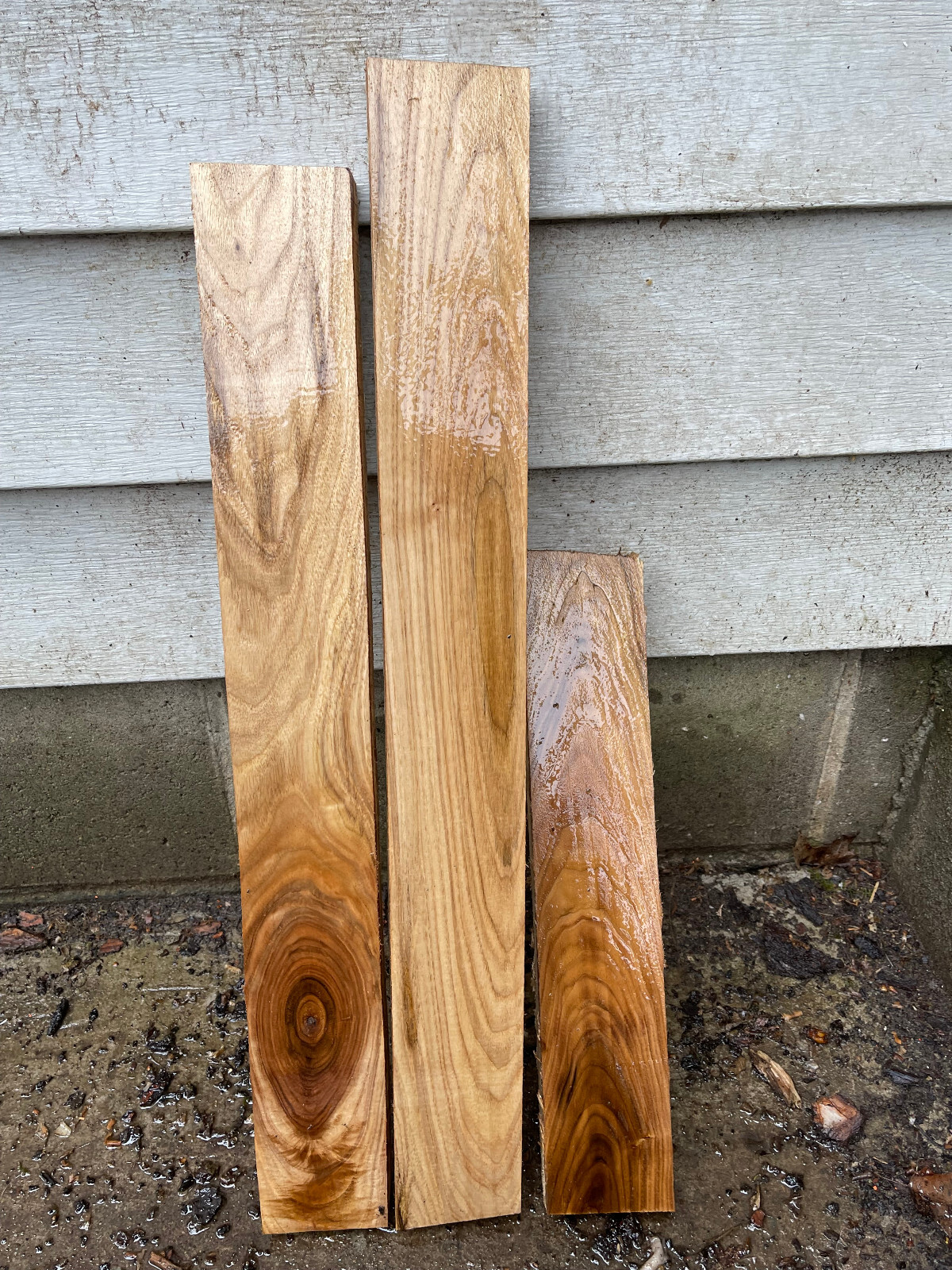Beautiful English walnut lumber eBay