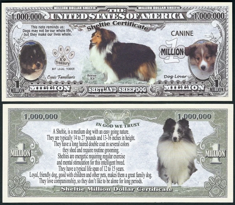 Sheltie, Shetland Sheepdog Puppy & Adult Pics, Facts on Back - Lot of 10 Bills