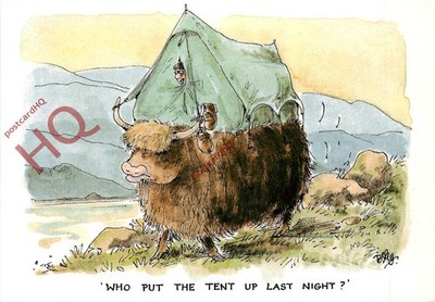Ansichtskarte>>Besley, der letzte Nacht das Zelt aufstellte (Humor)