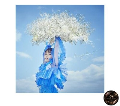 Paraglider [Limited Edition]