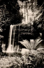 Russell Falls, Mt Field Natl Park, Tasmania, AU Antique Real Photo Postcard RPPC