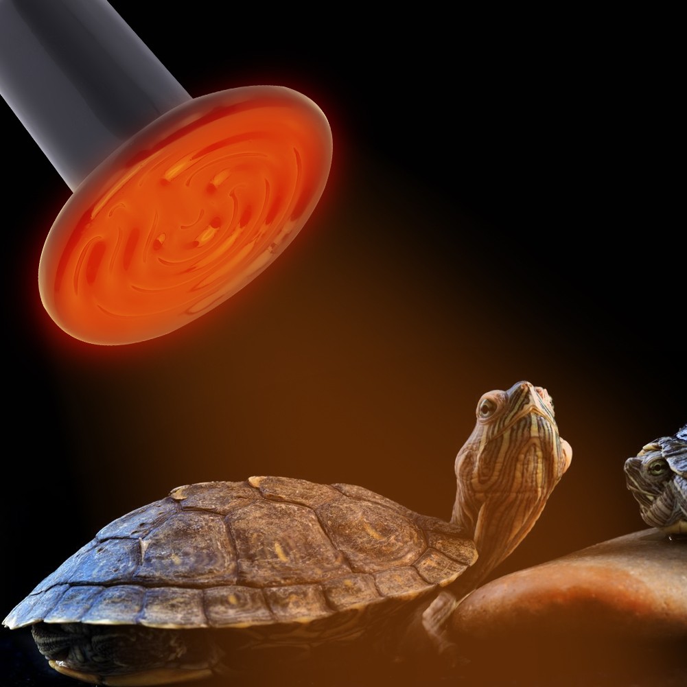 E27 Reptile Animal Ceramic Heating Lamp Infrared Pet Heat Light Lamp 220V-240V