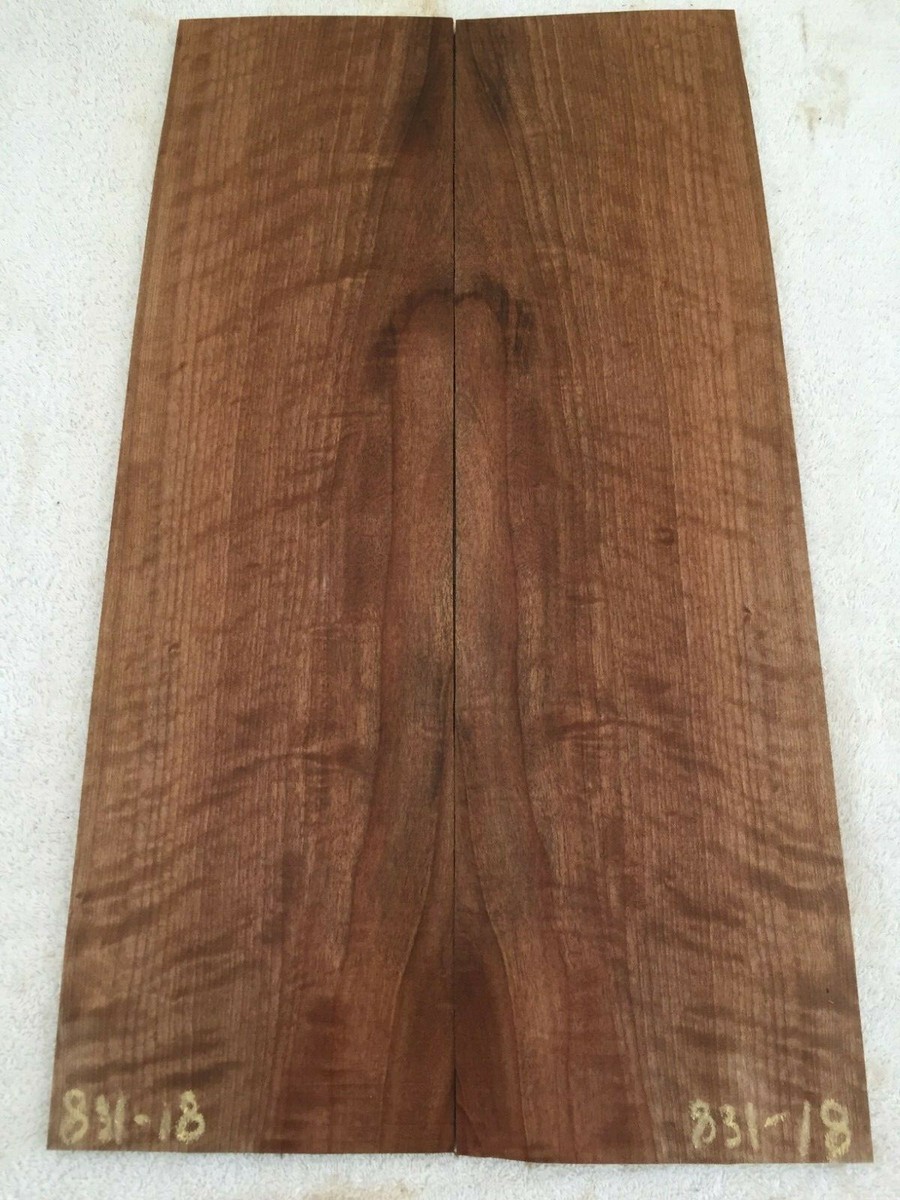 洋書 The art of wood and tone English Walnut book match set guitar tone wood .27 x 12-14 x