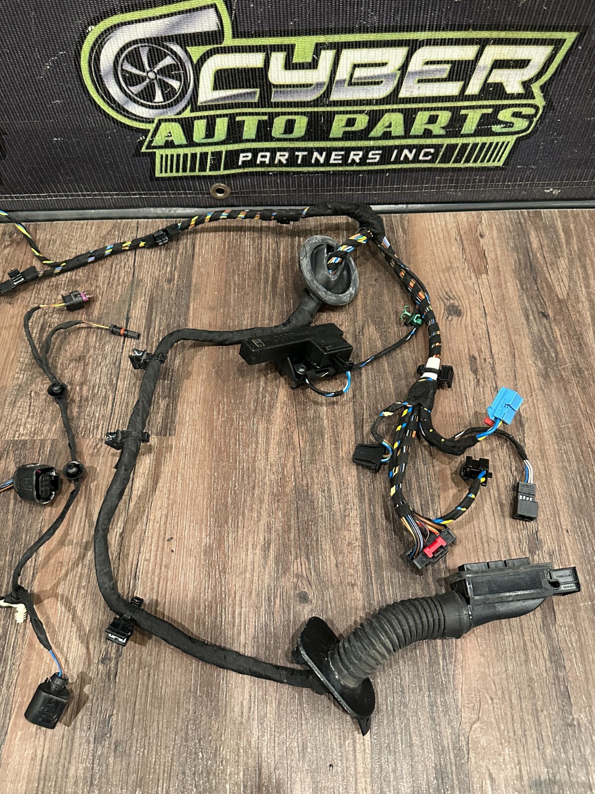 2021 AUDI R8 DRIVER LEFT DOOR WIRING HARNESS OEM 4S8 971 029 C