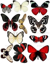 Waterslide Decal Image Transfer Red Butterflies Upcycle Shabby Chic Antique Art