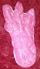 Ozarks Bigfoot 3 Toes Plaster Footprint Cast Collectible Handmade