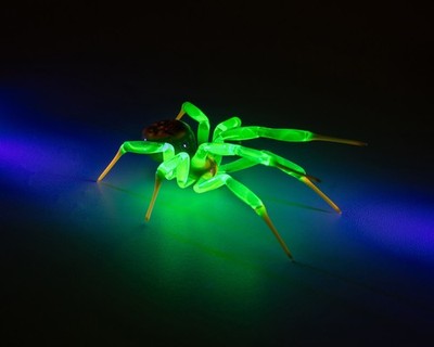 Green Glowing Glass Spider Figurine   Handmade Uranium Glass Art, UV Reactive