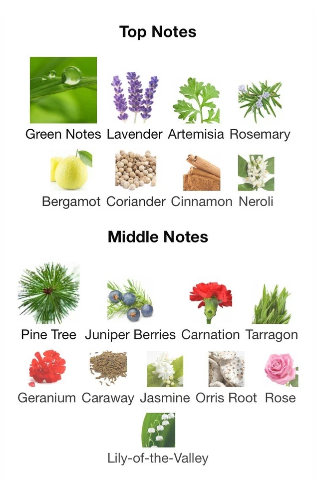 Juego de regalo caja Tsar by Van Cleef & Arpels — 1,7 fl oz/2,5 fl oz — SELLADO Foto 3 de 4