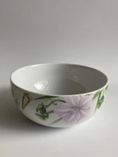 Spode Shoreline Soup Cereal Bowl 5 3/4”D ~RARE~