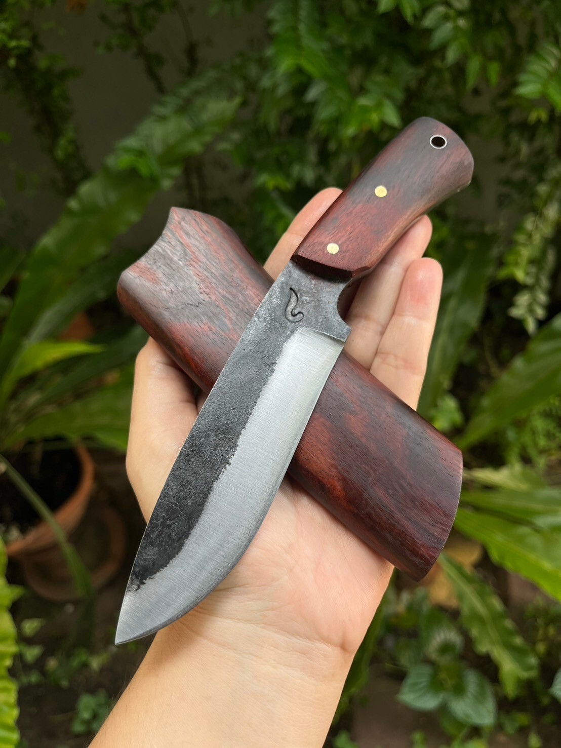 Picture 1 of 21