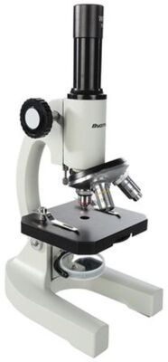 Byomic Studie Mikroskop BYO-10 - Wissenschaftliches Forschungsinstrument