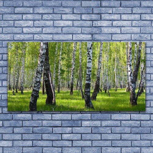 Impression sur verre acrylique Image Tableau 140x70 Nature