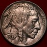 1937-S San Francisco Mint Buffalo Nickel San Francisco Buffalo