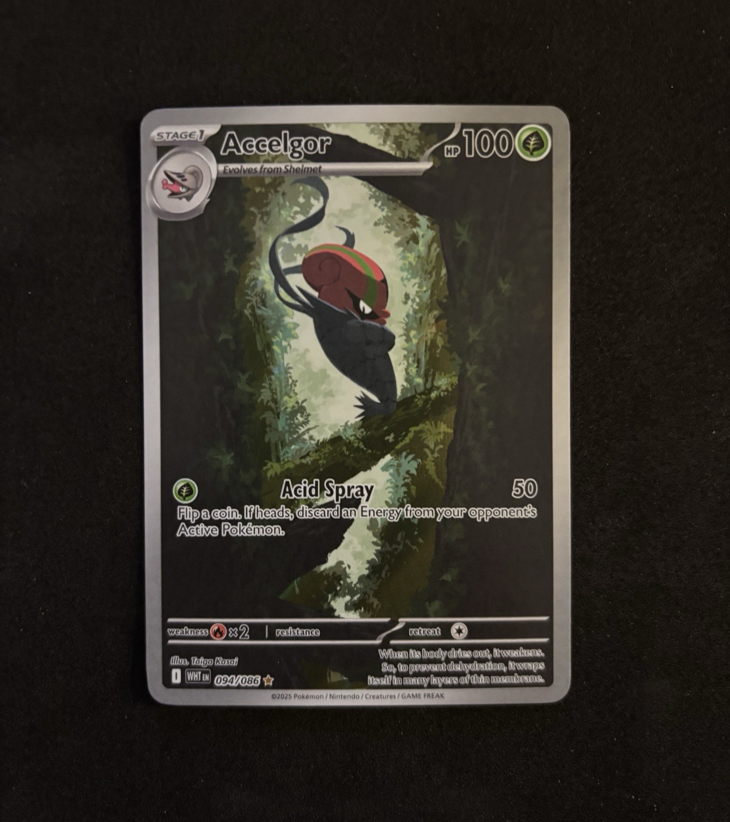 Pokemon Accelgor 094/086 IR - White Flare - Scarlet & Violet - NM