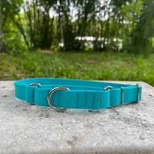 1 inch wide Adjustable Martingale Dog Collar - Slip on Waterproof Made in USA