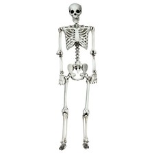 5.4 Feet Halloween Skeleton Life Size Realistic Full Body Hanging - Color: White