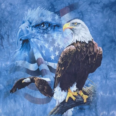 Camiseta Gráfica The Mountain Eagle Para Hombre Grande Azul Tie Dye Patriótica 2013 Arte - Imagen 1 de 4