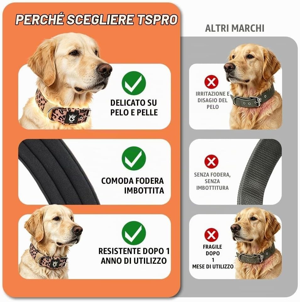 collare cane, collare tattico, collare regolabile, accessori per cani, collar... foto 5