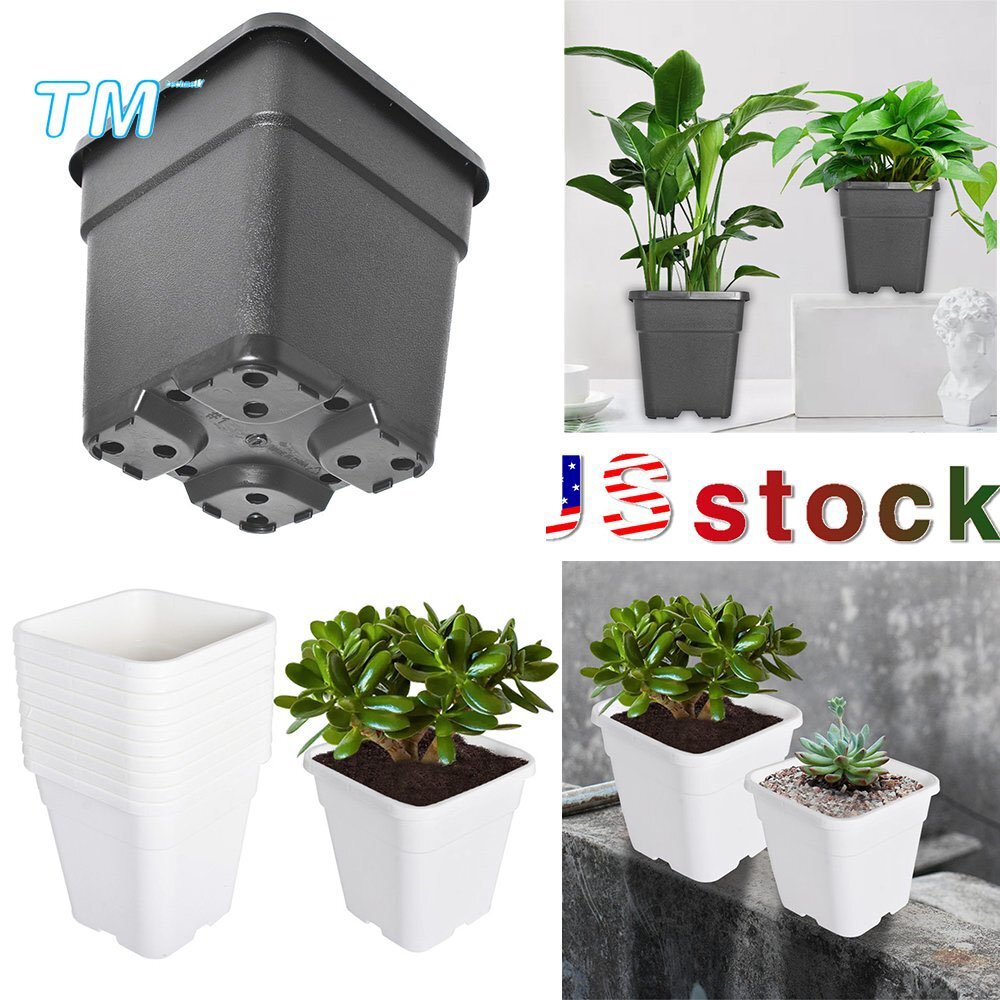 large pot with succulents Stone Succulent Bowl | Luxury Orchid Arrangement | Same-Day Delivery main image 1