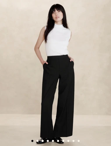 New High Rise Hayden Wide Leg Flat Front Trouser Pants Black Office 2 Petite 