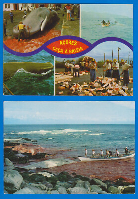 SET OF 2 old used postcards, Azores Açores, Whale Whaling PORTUGAL