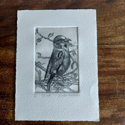 Limited Edition Aquatinta Radierung - Shima Enaga Vogel 35/35 | Signiert Natur Kunst