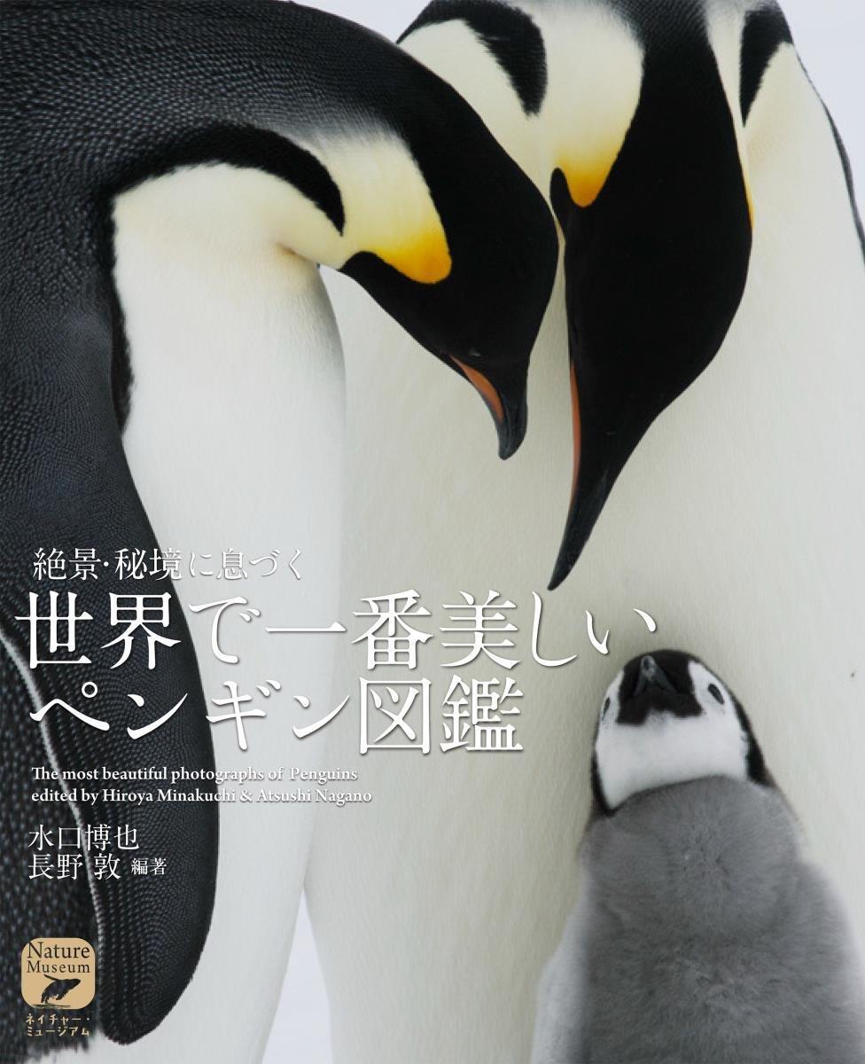Book The Most Beautiful Penguin Encyclopedia in the World: Penguins... Japanese