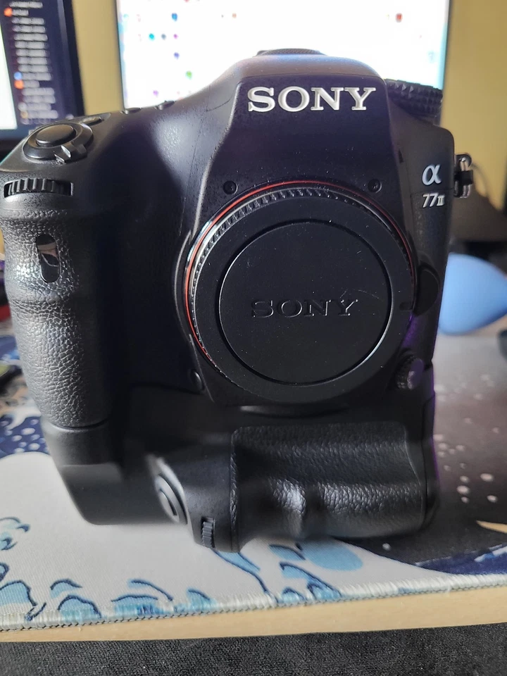 Sony Alpha 77 II, foto 2 di 5