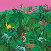 Turnover Good Nature (Cd) Album