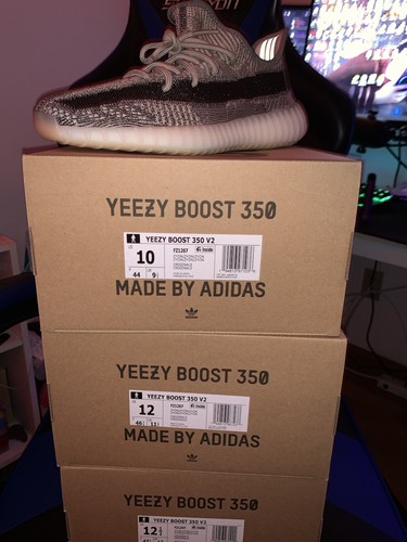 yeezy zyon 12.5